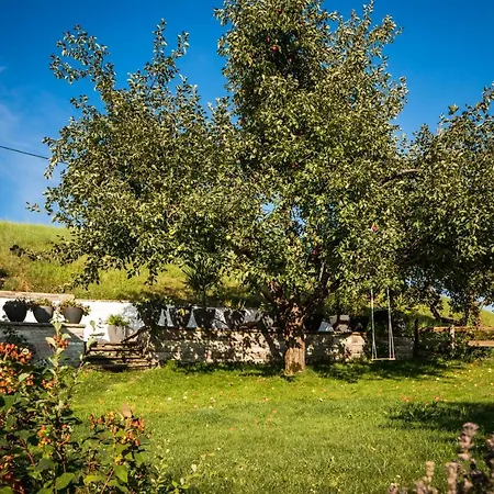 Apartmán Haus Bichler Kössen