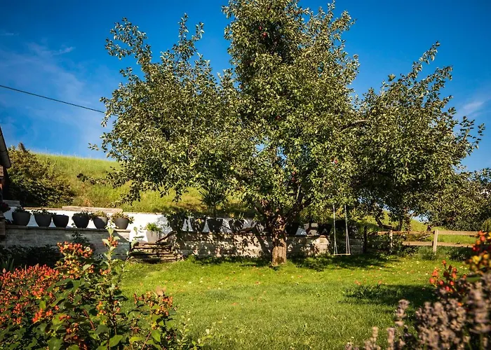 Apartamento Haus Bichler Kössen