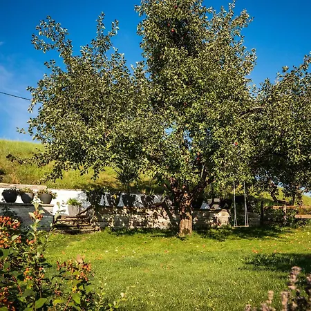 Haus Bichler * Kössen